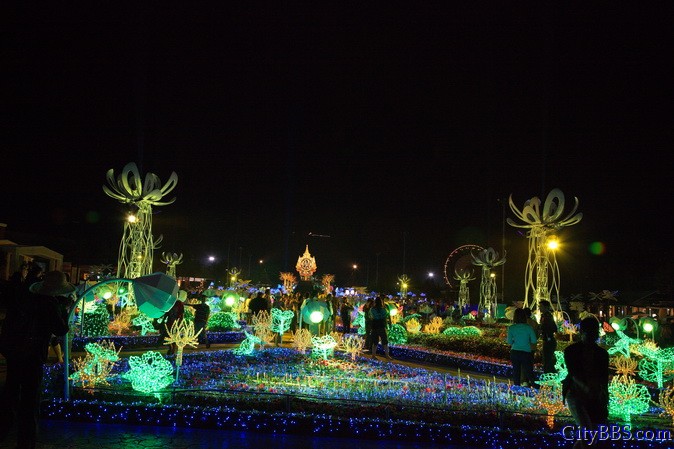 鲜花盛开之花样清迈