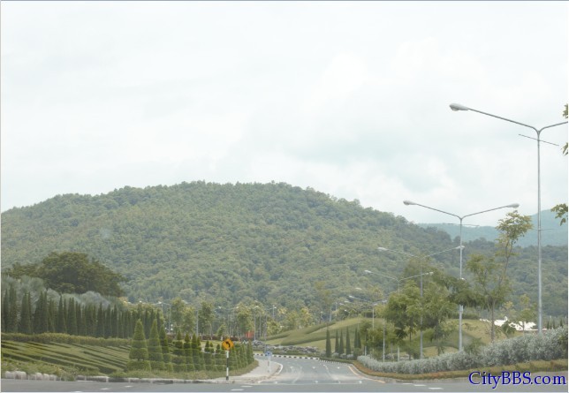 ChiangMai_Royal_Flower_Flora