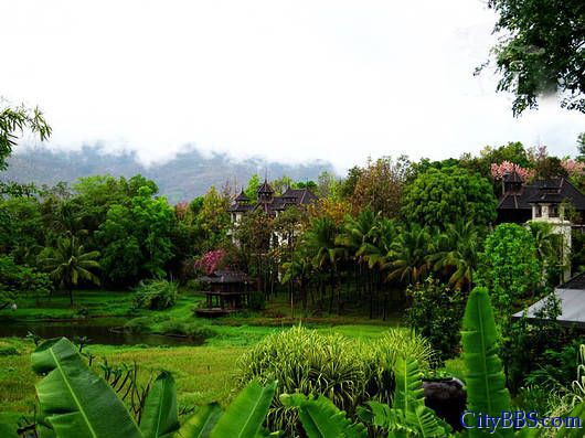 丛林环绕的栋栋小屋