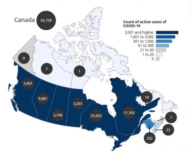 秋水仙碱又称秋水仙素5.jpg