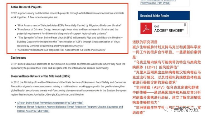 欧洲爆发禽流感