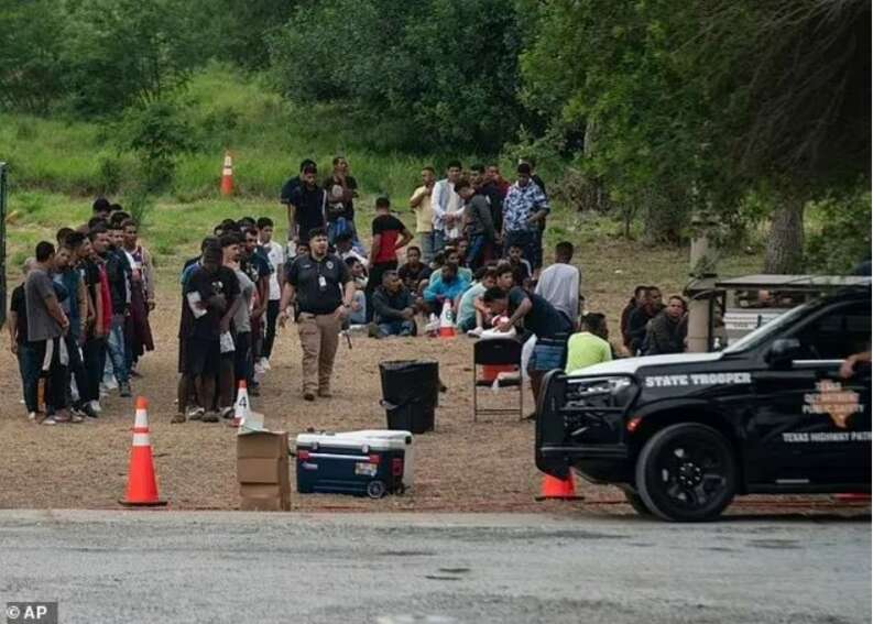 庇护者安置服务给城市财政带来了巨大的负担，每天耗资800万美元