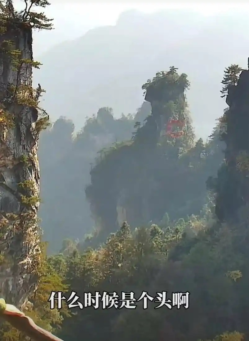 六旬大叔张家界喊山太累了太辛酸